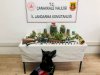 Yenice’de uyuşturucu operasyonu 