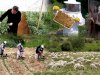 Kırsalda üretici IPARD kapsamında destekleniyor