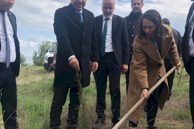 Adıyaman’da Fidanlar Toprakla Buluştu