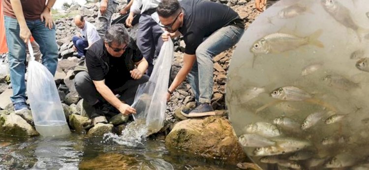 Göletlerde balıklandırma çalışmaları sürüyor